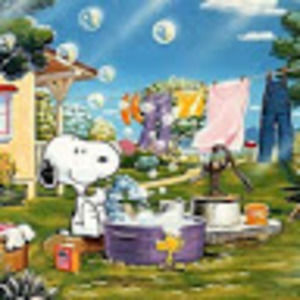 Meet your Posher, Rose